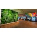 Natural Indoor Vertical Garden (550 Rs -900 Rs) (Rates / Sqft)